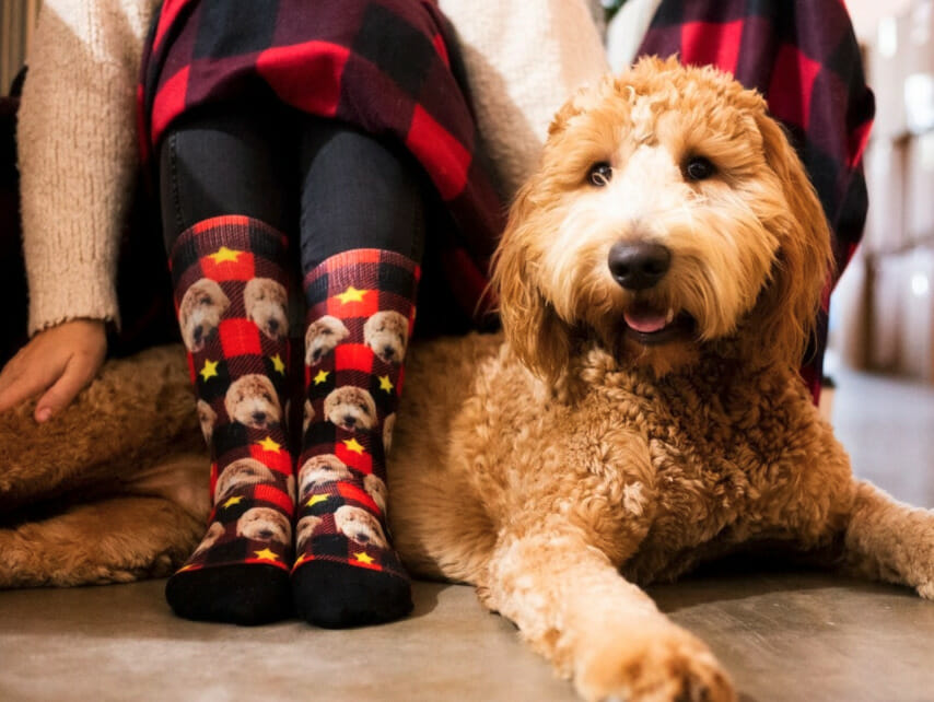Holiday Face Socks Holiday Face Socks